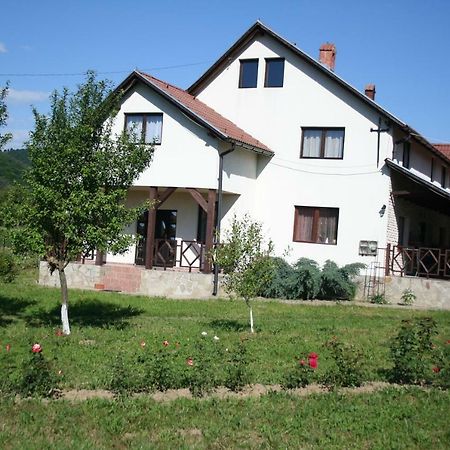Dobarlica Casa de hóspedes Dobirlau Exterior foto