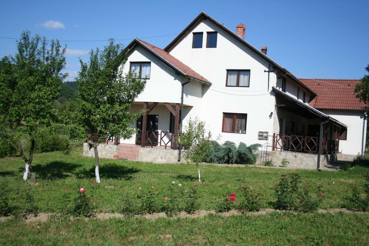 Dobarlica Casa de hóspedes Dobirlau Exterior foto